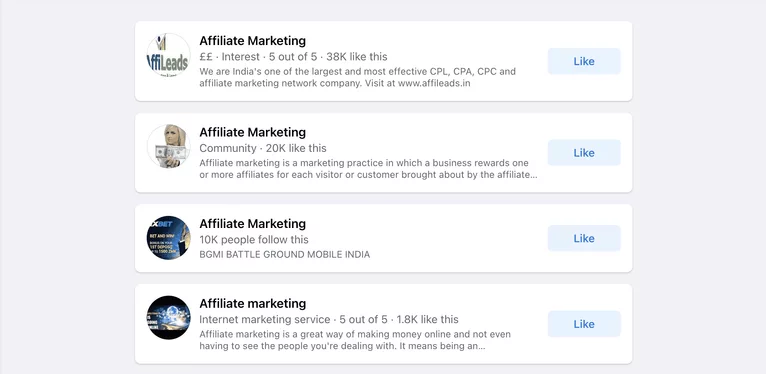 A Screenshot Of The Affiliate Marketing Dashboard Showcasing Facebook Earnings.