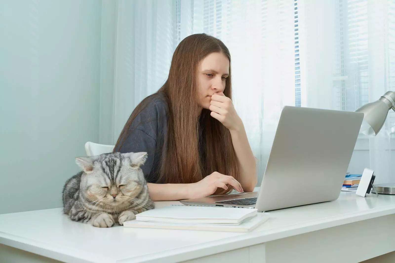 A Woman Multitasking At A Desk, Learning To Be A Copywriter While Her Cat Keeps Her Company.